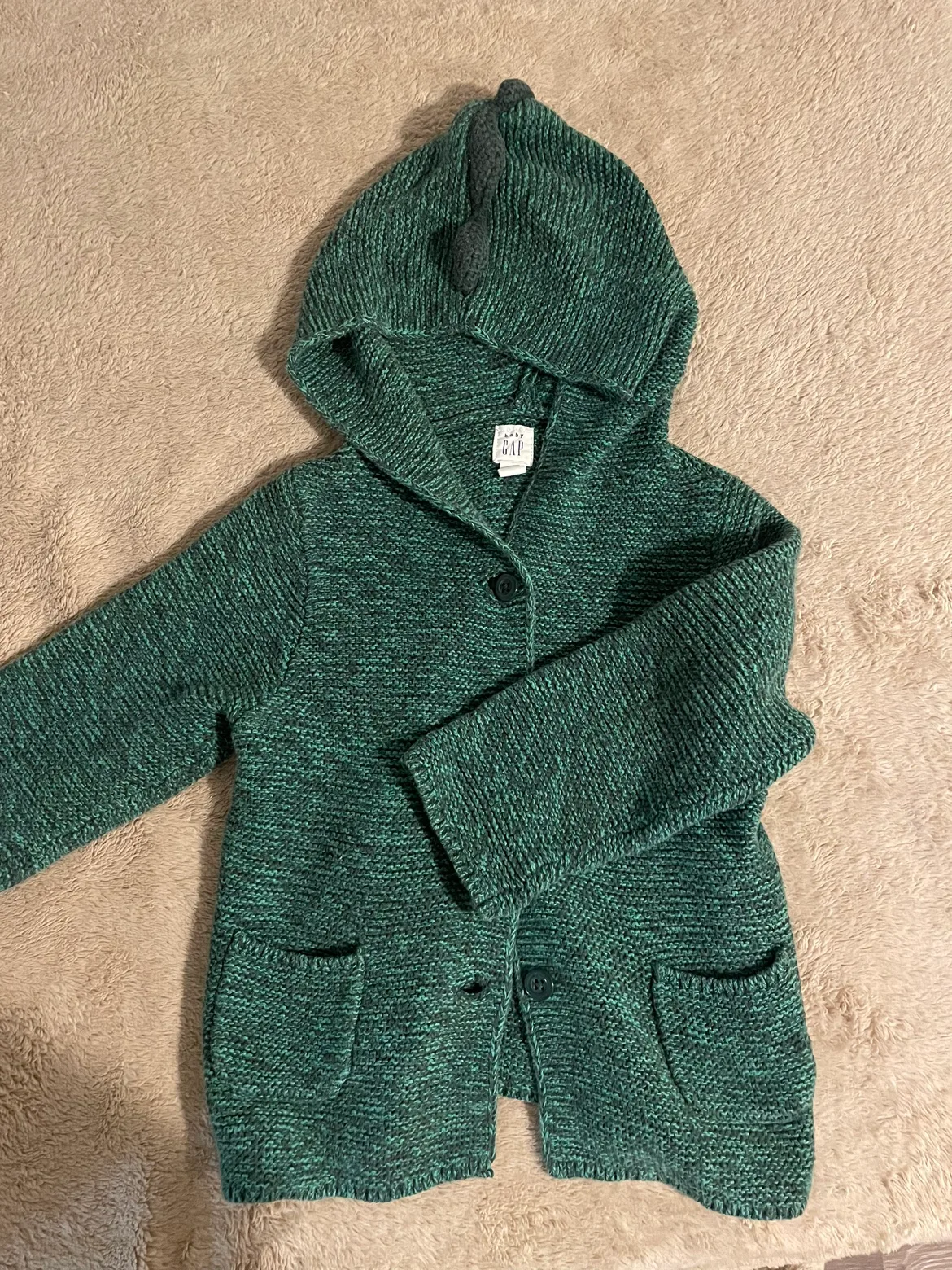 Baby Gap Green Dinosaur Hoodie thumbnail