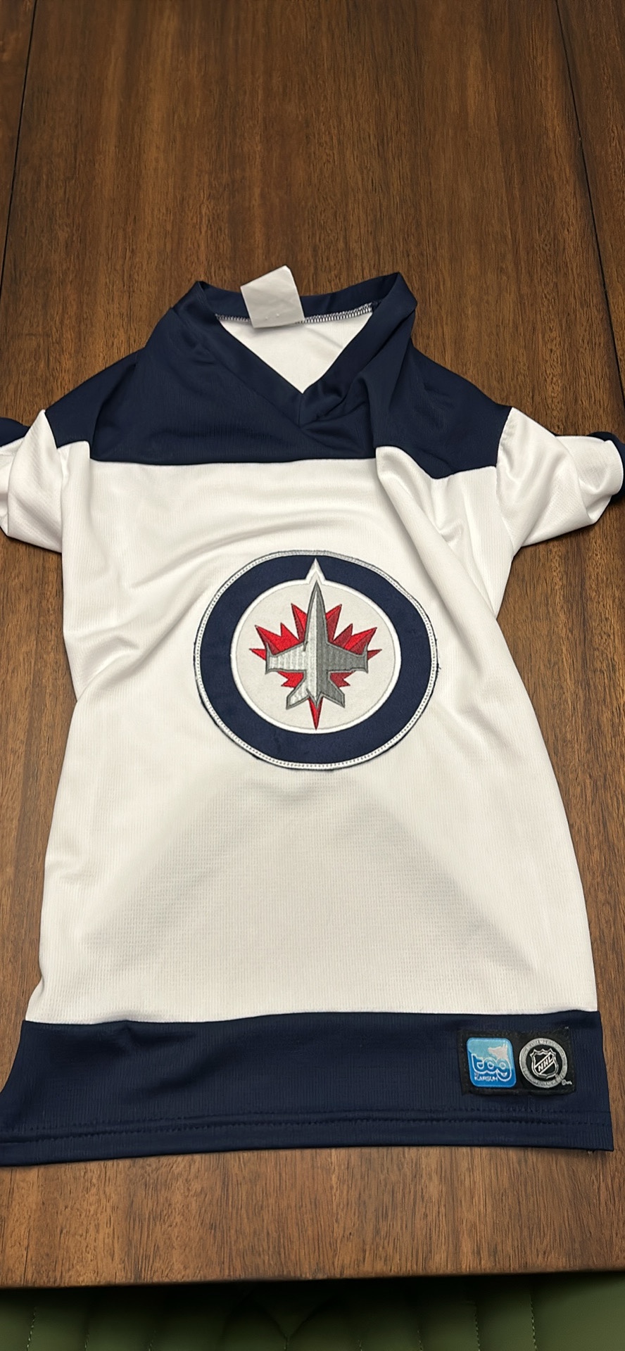 Dog Jets Sweater