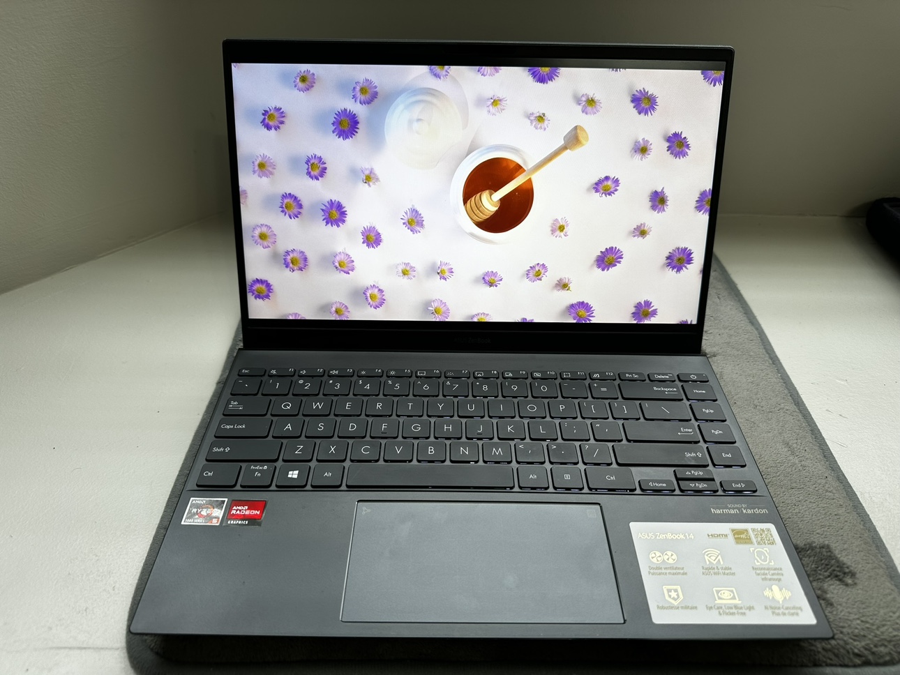 Asus ZenBook 14 Laptop UM425Q