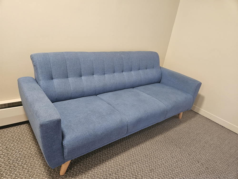 Blue Sofa - photo 2