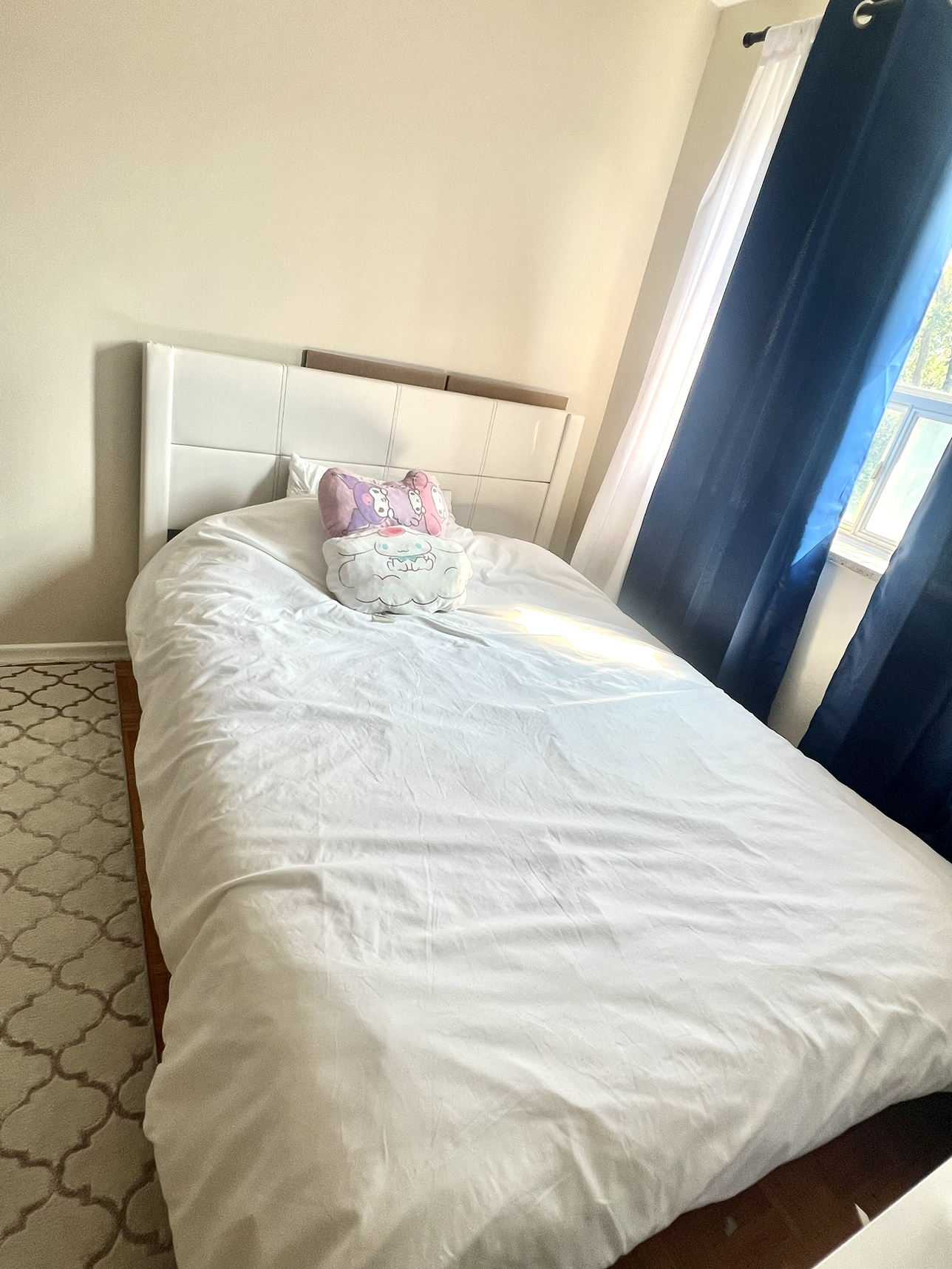 White Bed Frame & BNEW Foam