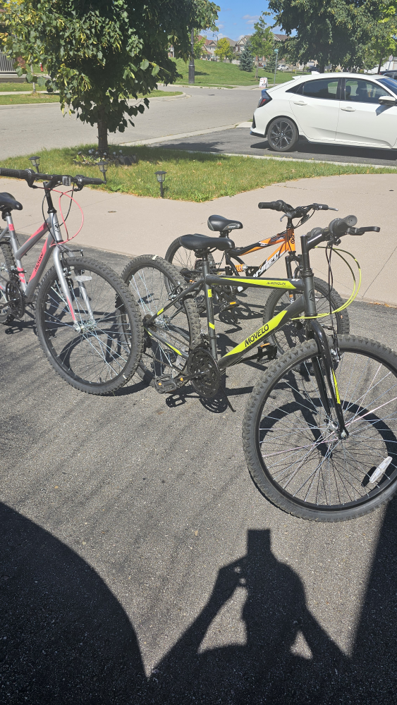 Three Bikes; Mom Dad Kid - photo 3