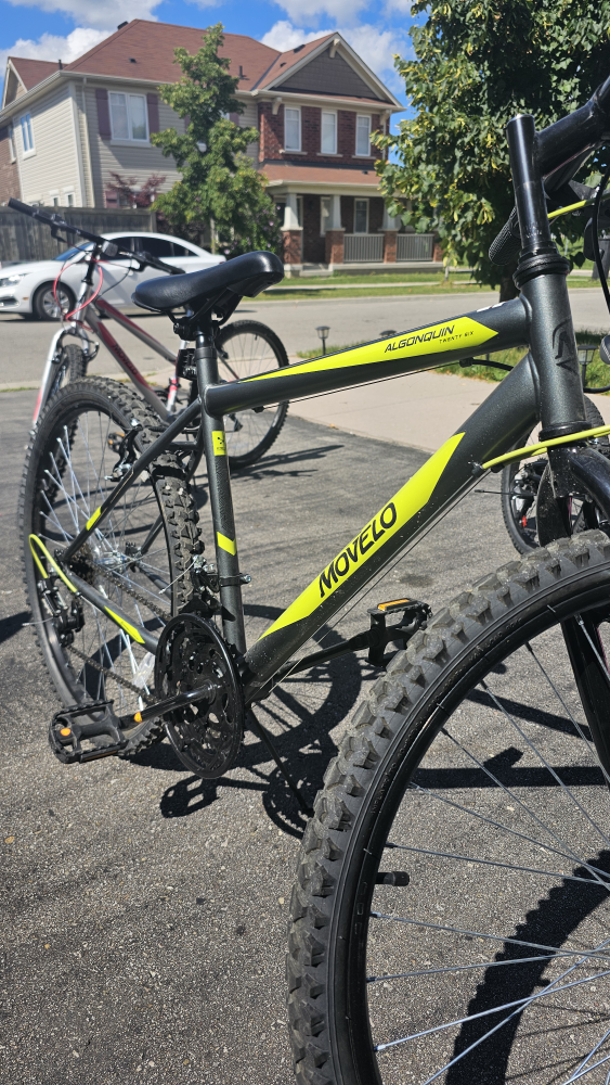 Three Bikes; Mom Dad Kid - photo 4