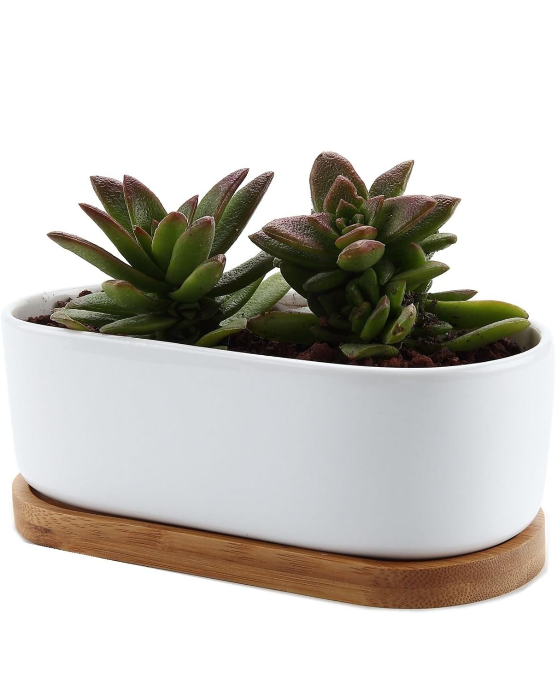 White Ceramic Planter with Wooden Base - photo 2