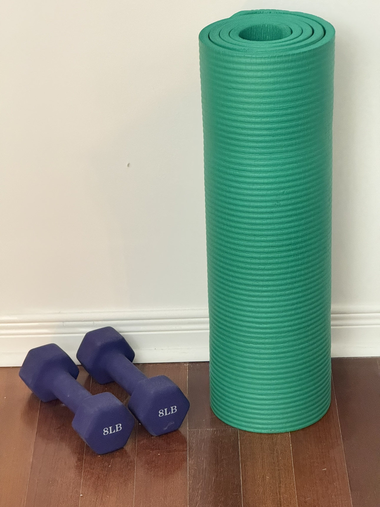 8lb Dumbbells and Yoga Mat - photo 3