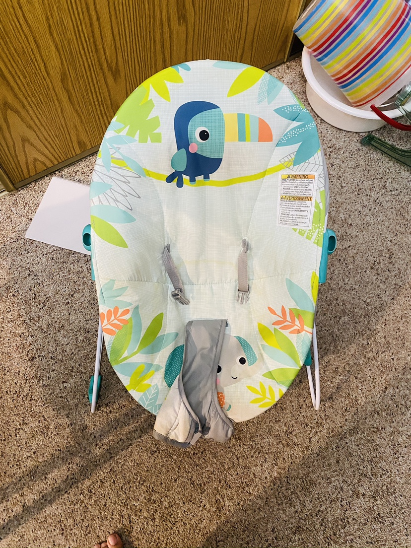 Baby Einstein Bouncer # freecycle - photo 3
