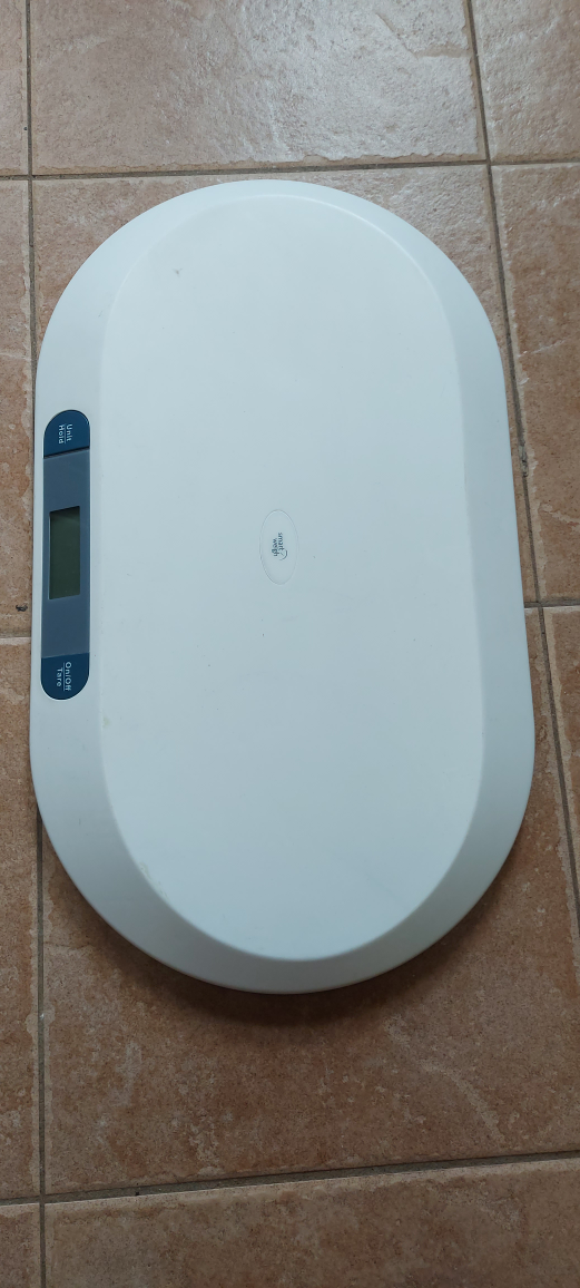 Digital Baby Scale