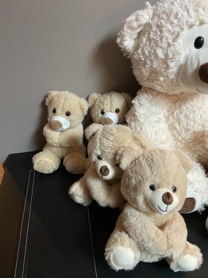 Set of 10 Teddy Bears - photo 4