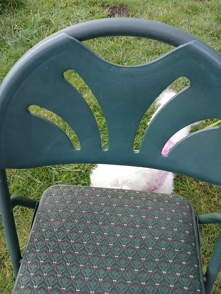 folding chair image indicator(3)