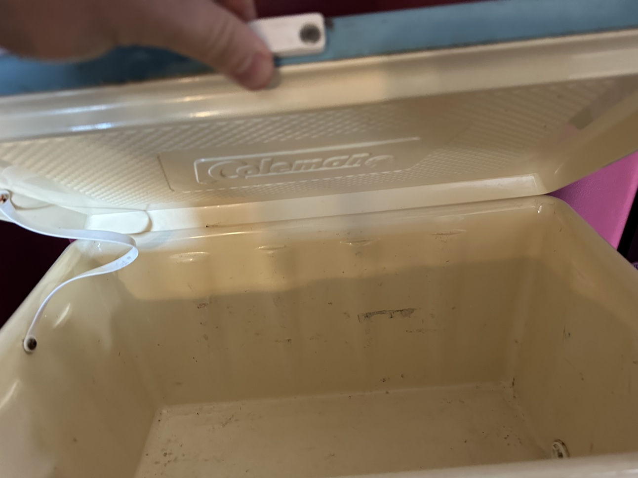 Coleman Cooler - photo 2