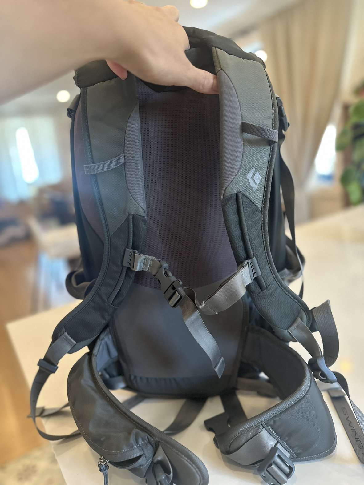 Diamond Back Pack - photo 2