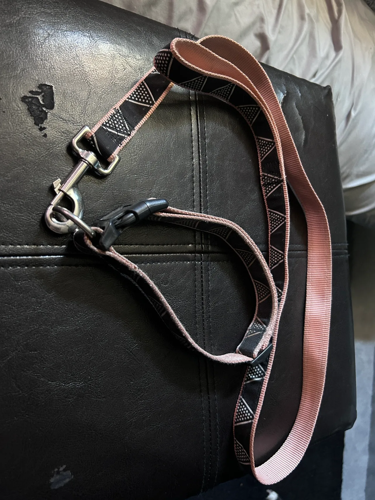 Dog Leash 🧡 image indicator(2)