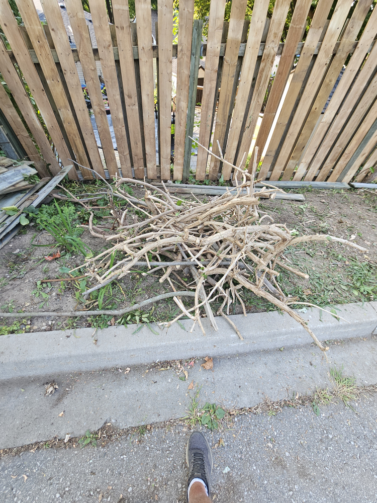 free firewood