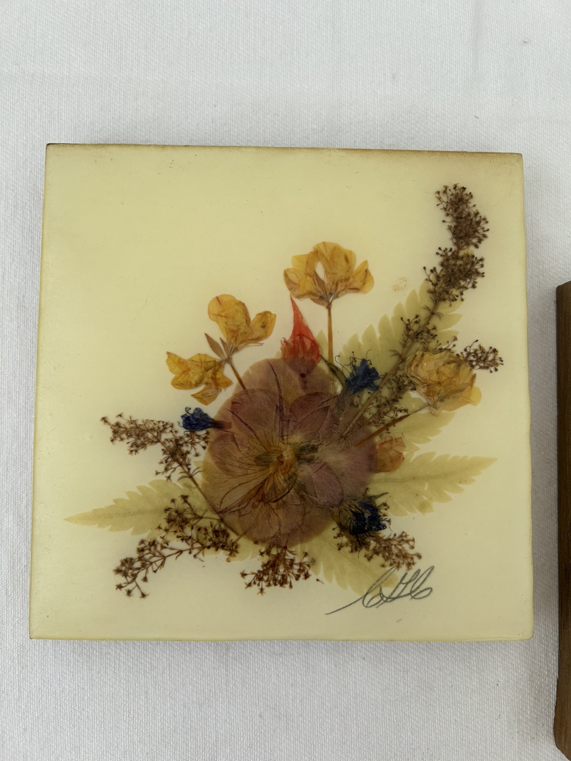 Set of Two Pressed Flower Art #freecycle - photo 4