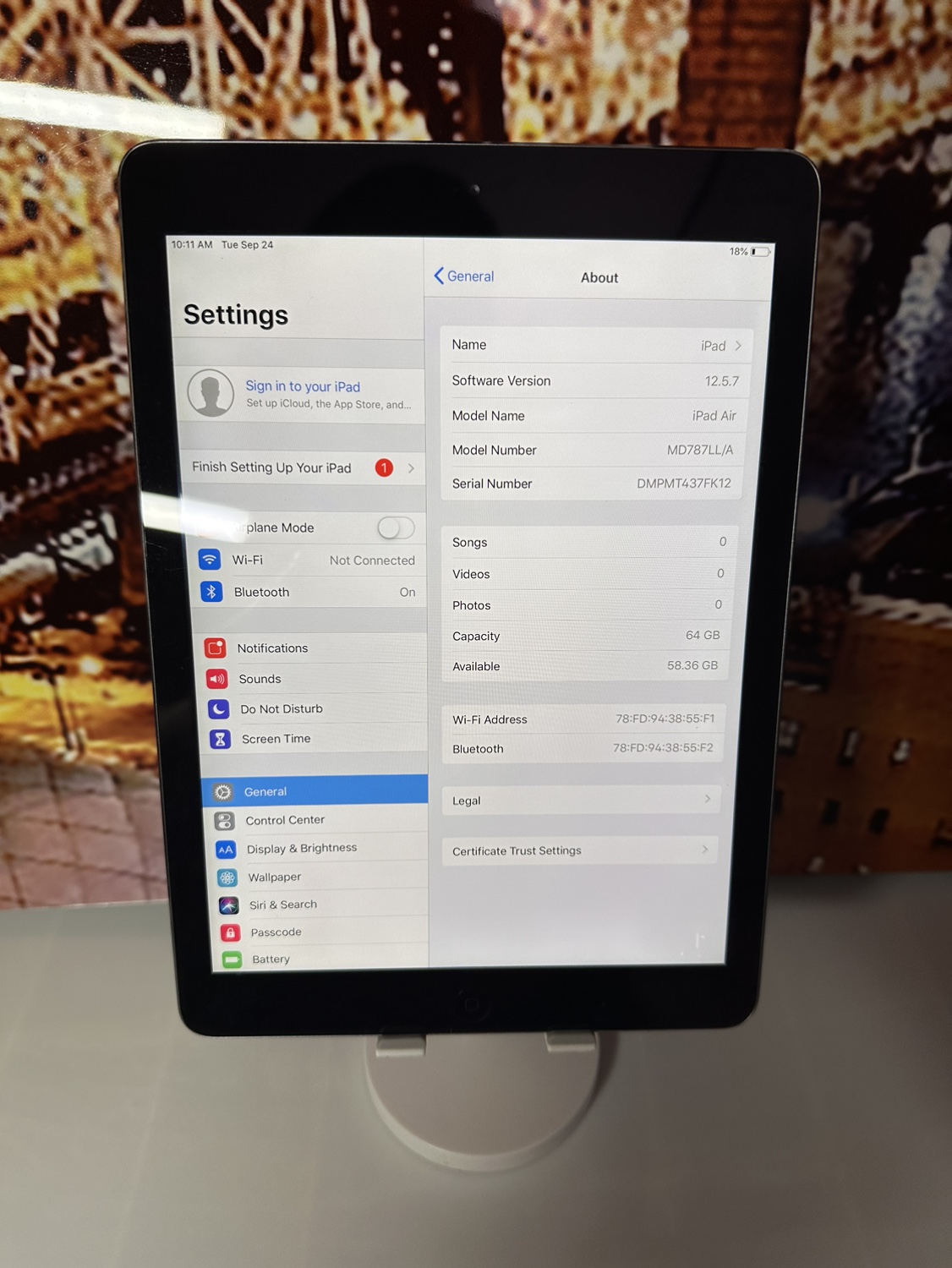 iPad Air