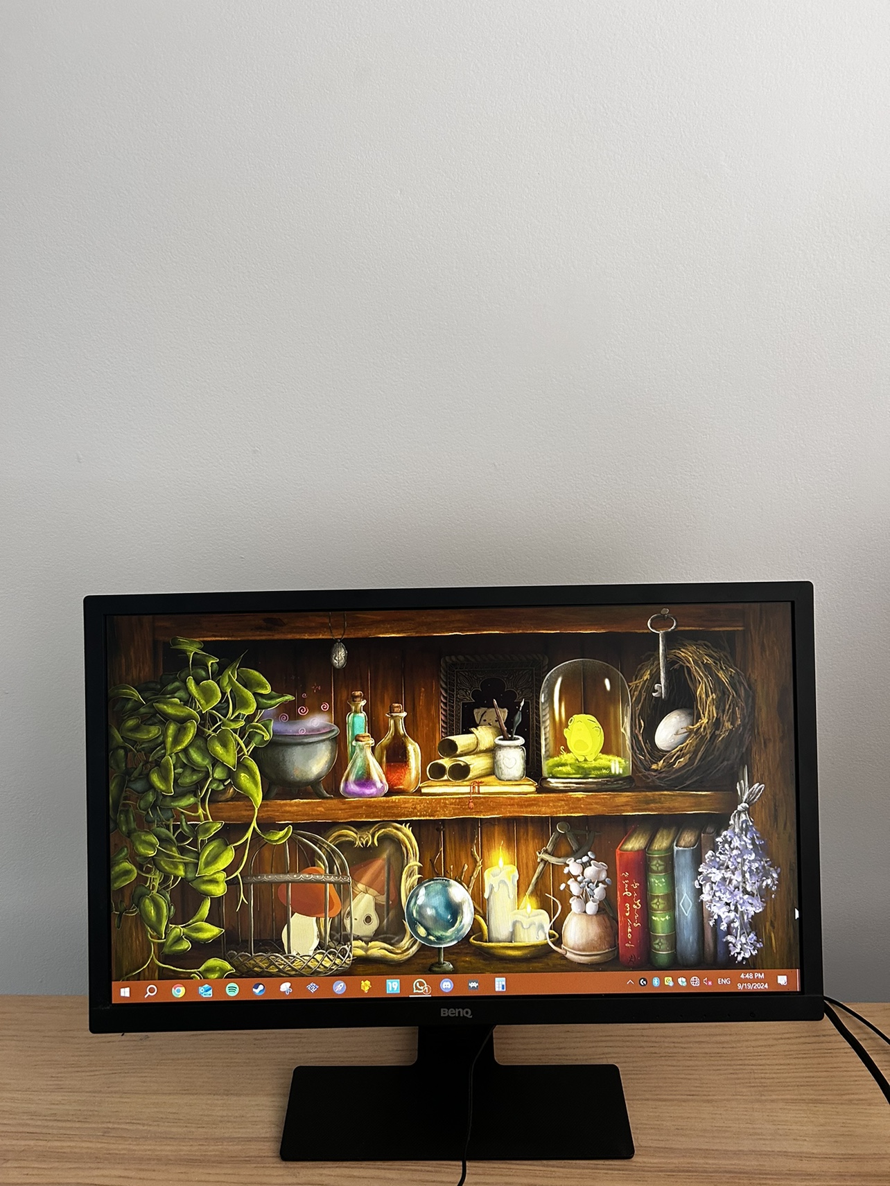 BENQ Monitor (24inch)