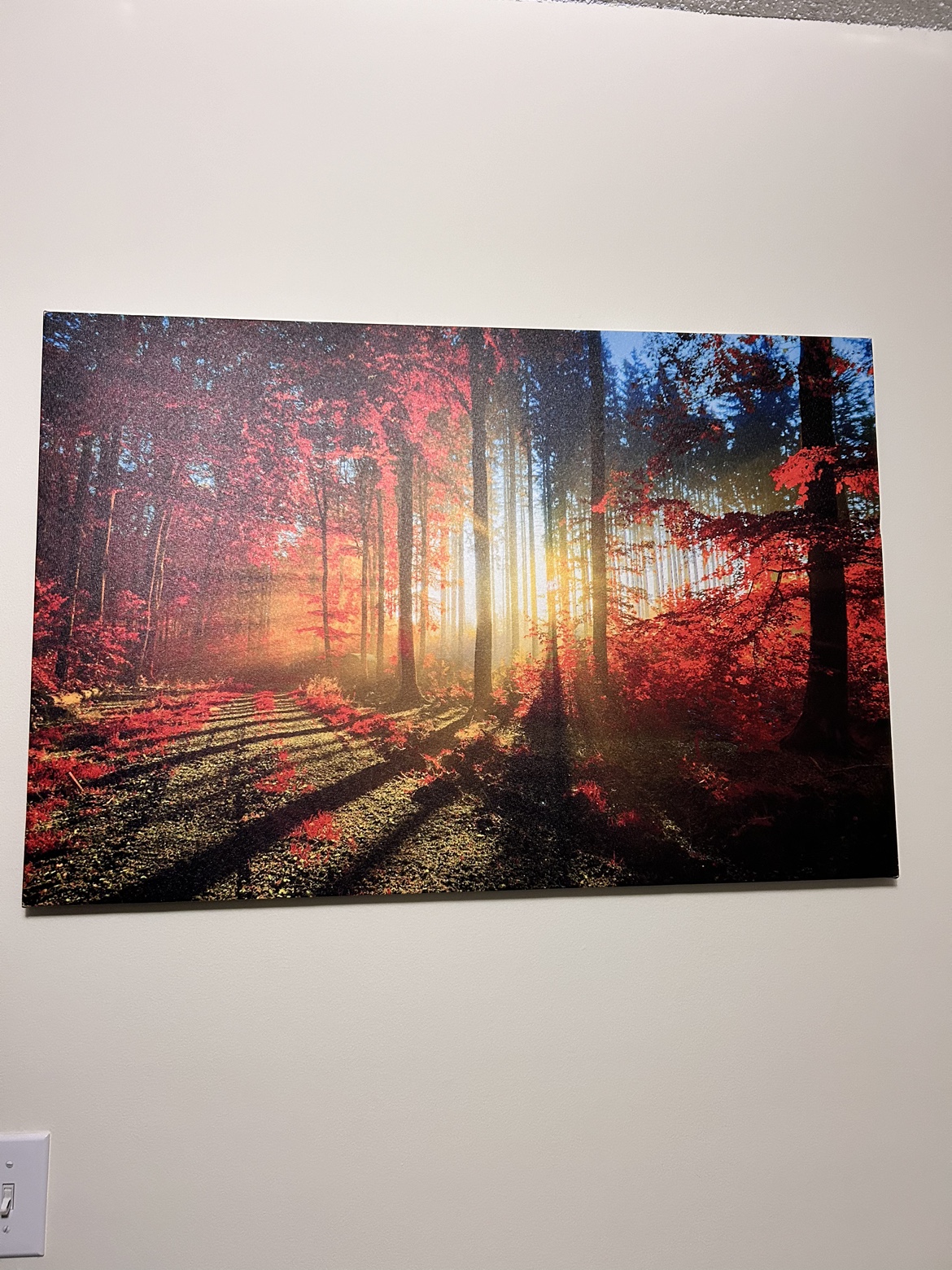 Forest Canvas Wall Art