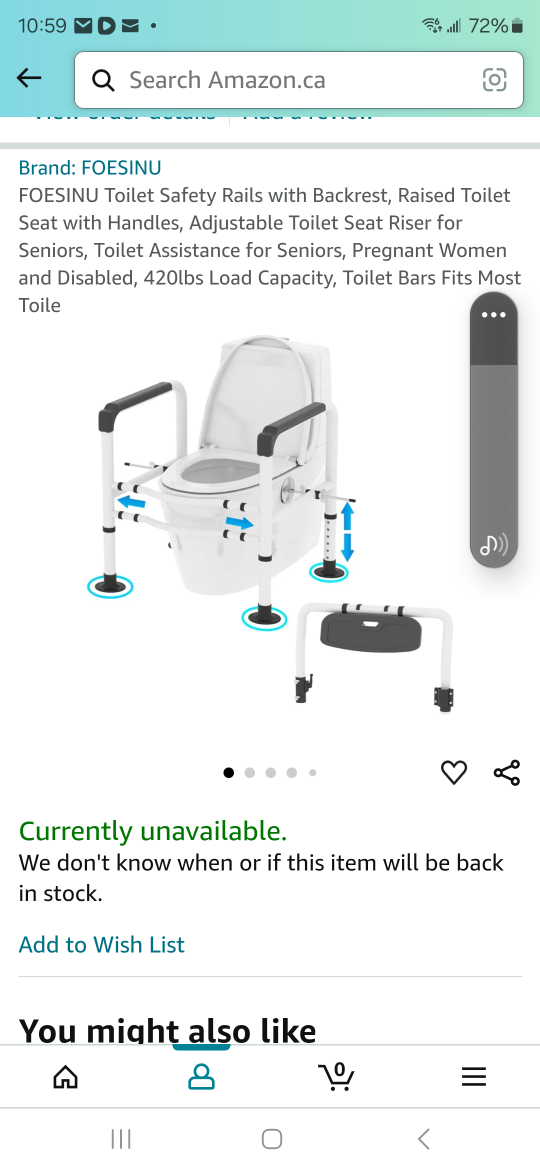 Toilet Safety Rails with Backrest