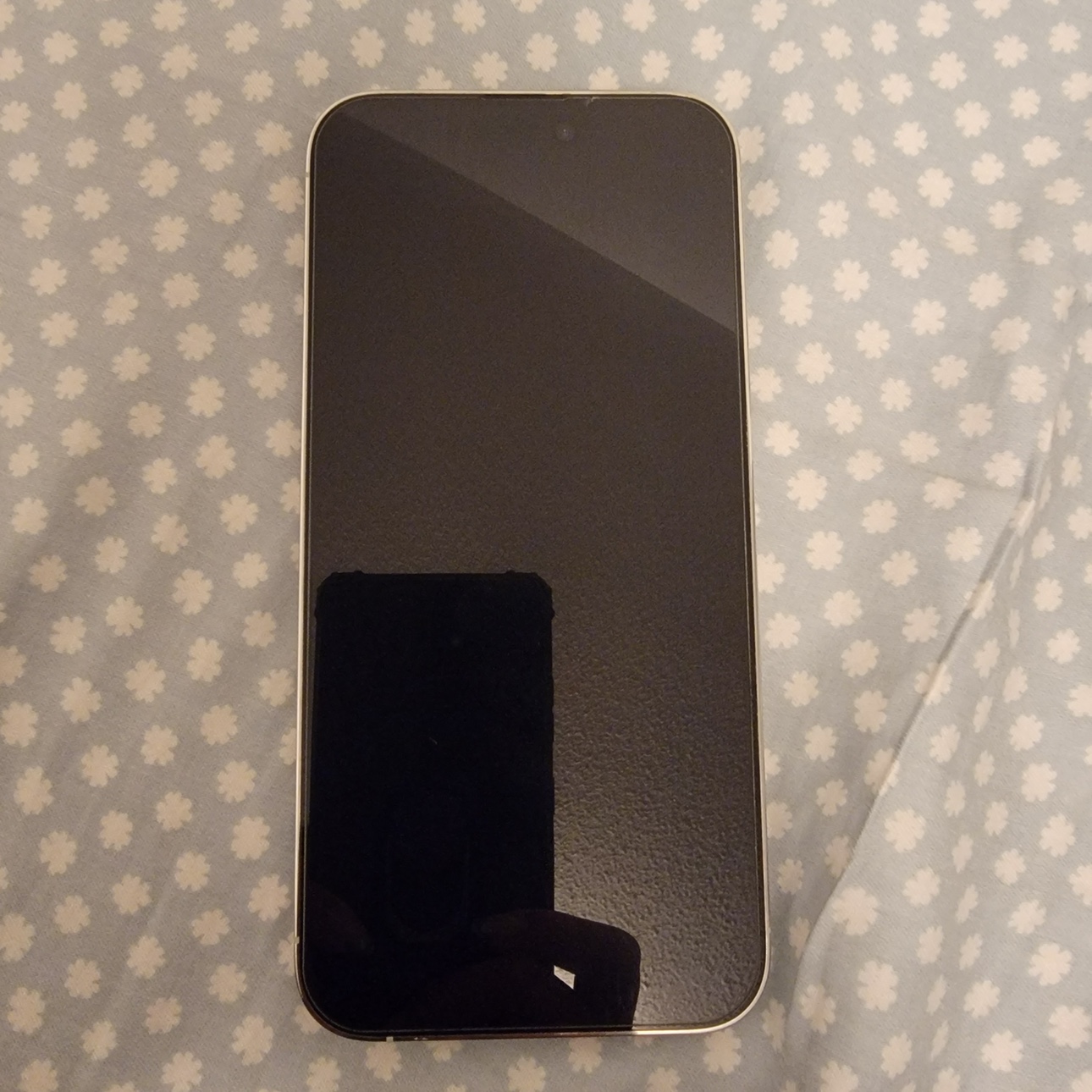 iPhone 14 Pro Max - photo 2