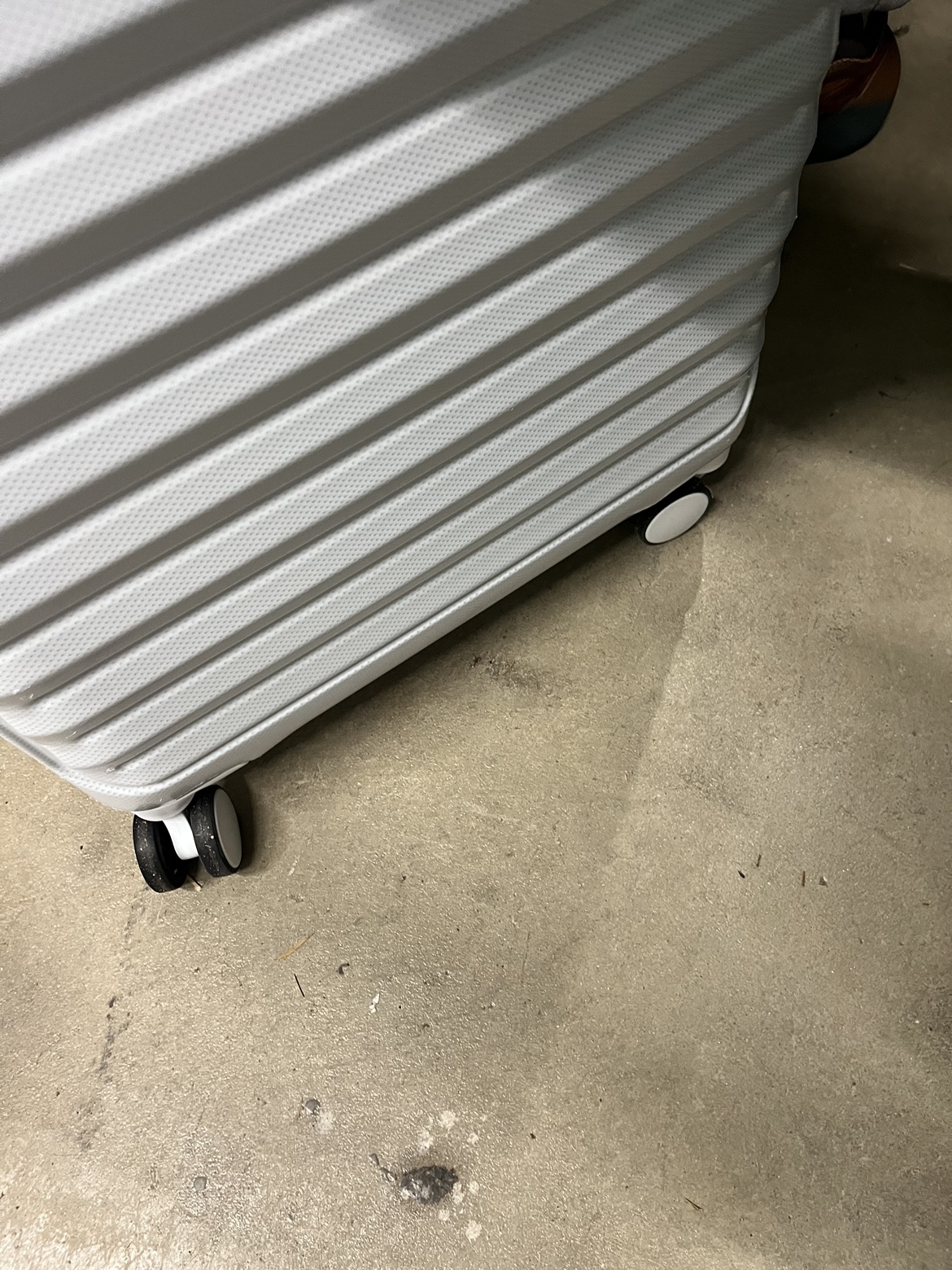 24” and 22” brand new on wheels - photo 5