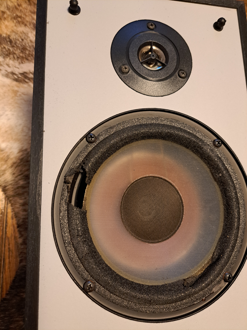 Camber Laser 3 Speakers - photo 4