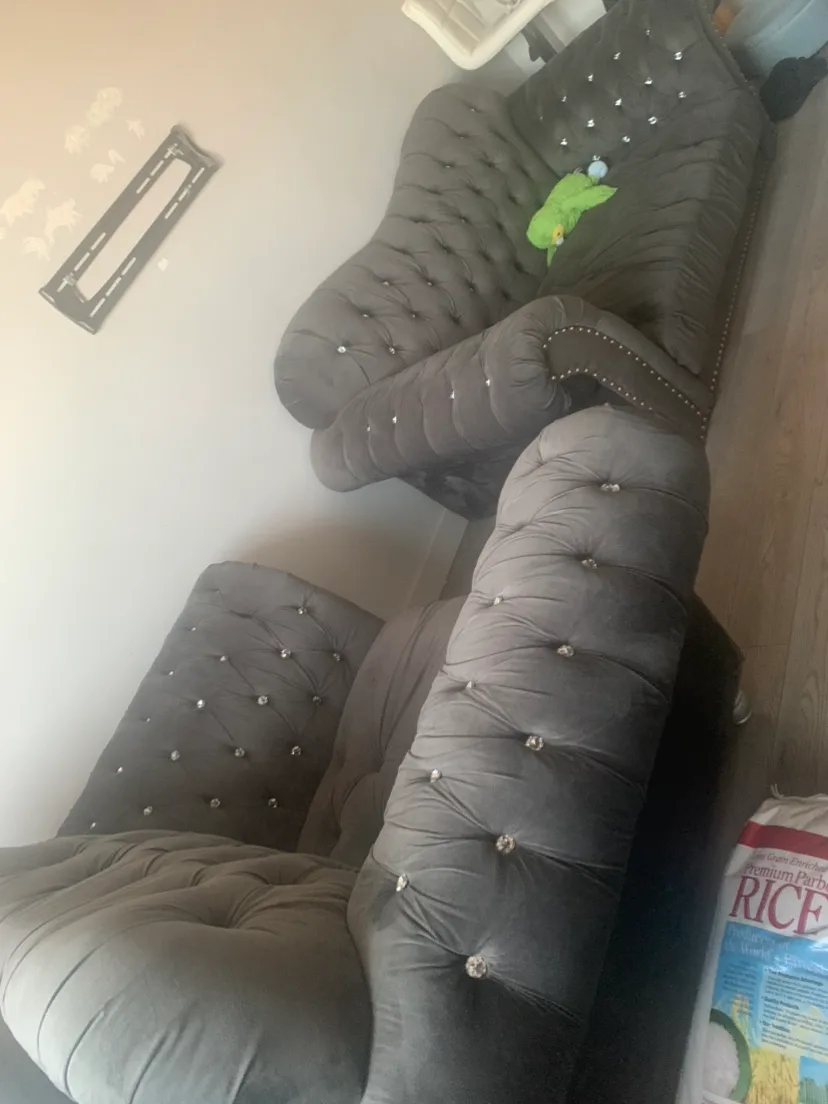 Grey Velvet Sofa and Loveseat Set