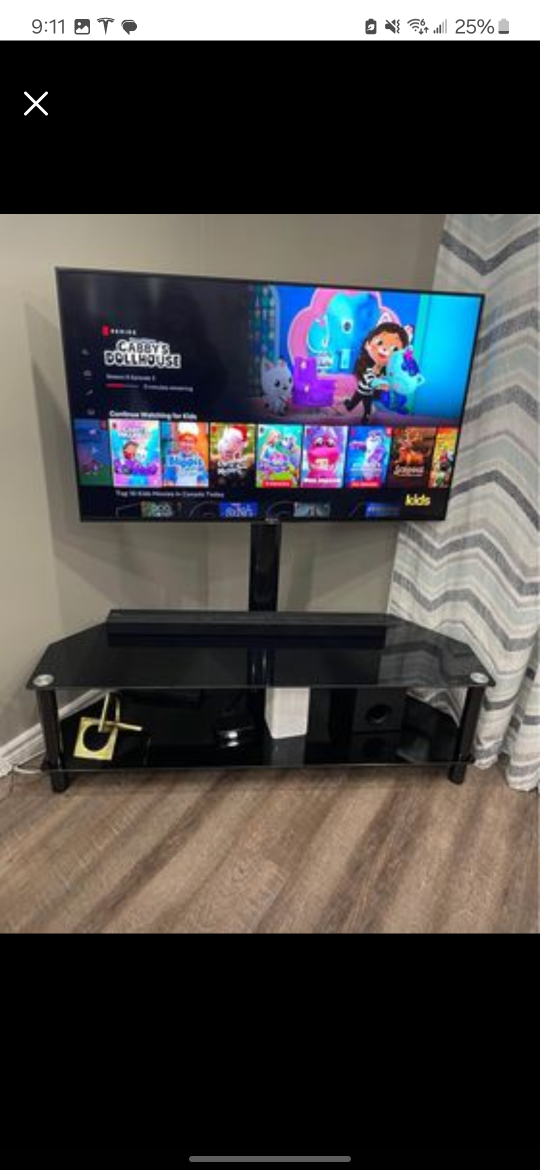 TV Stand and Mount