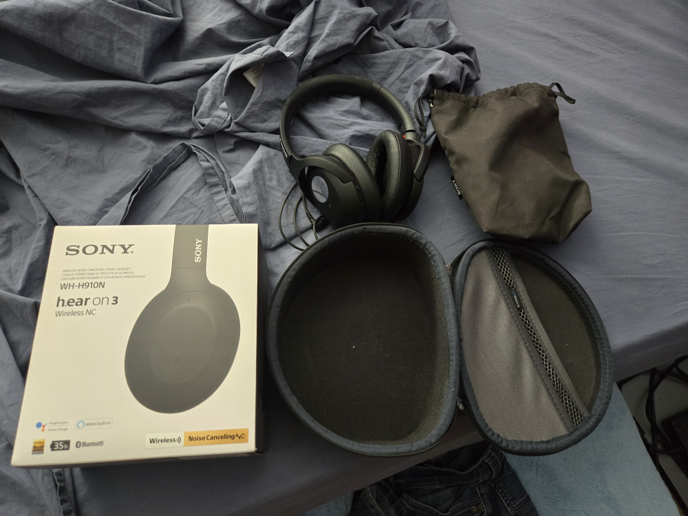 Sony WH-H910N Wireless Noise Cancelling Headphones