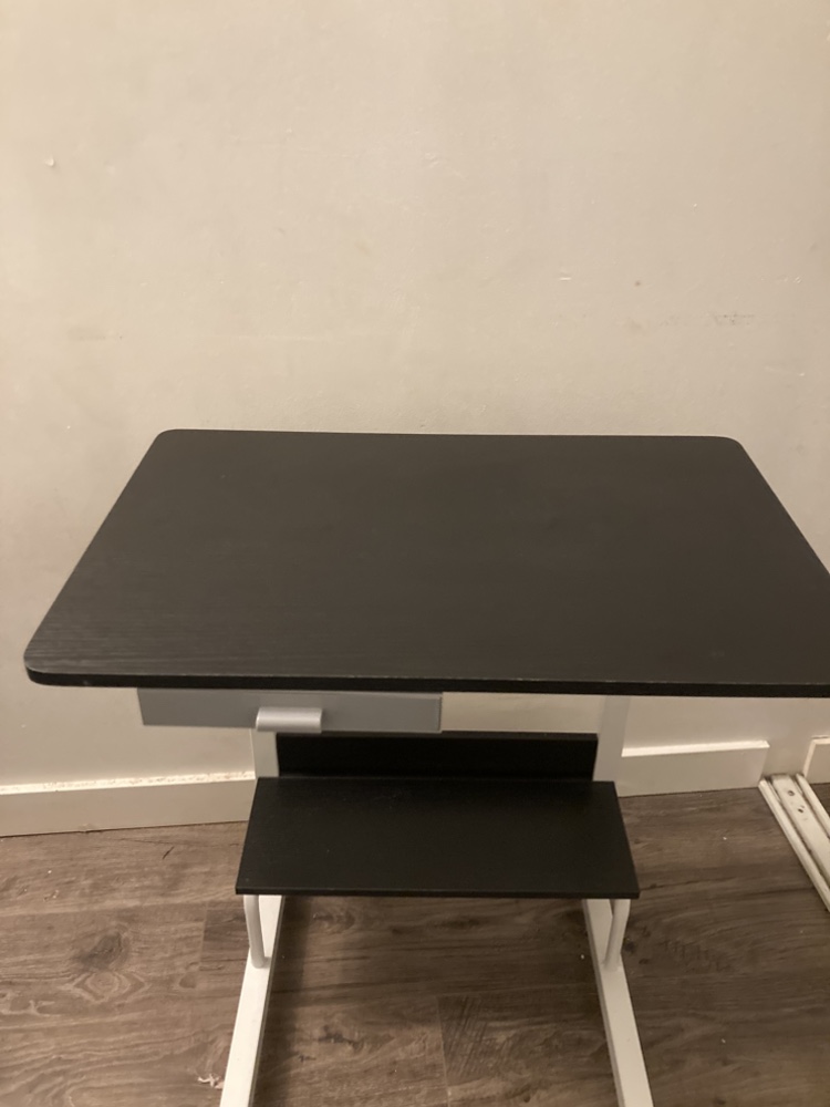 Adjustable Standing Desk - photo 4