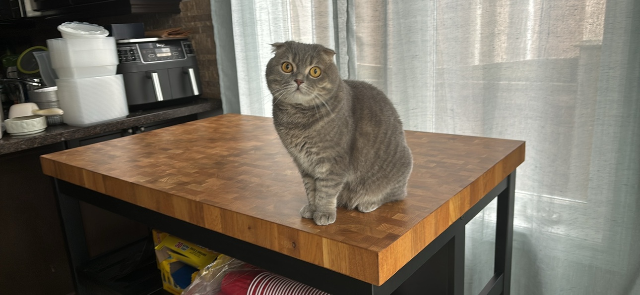 IKEA Kitchen Island - photo 4