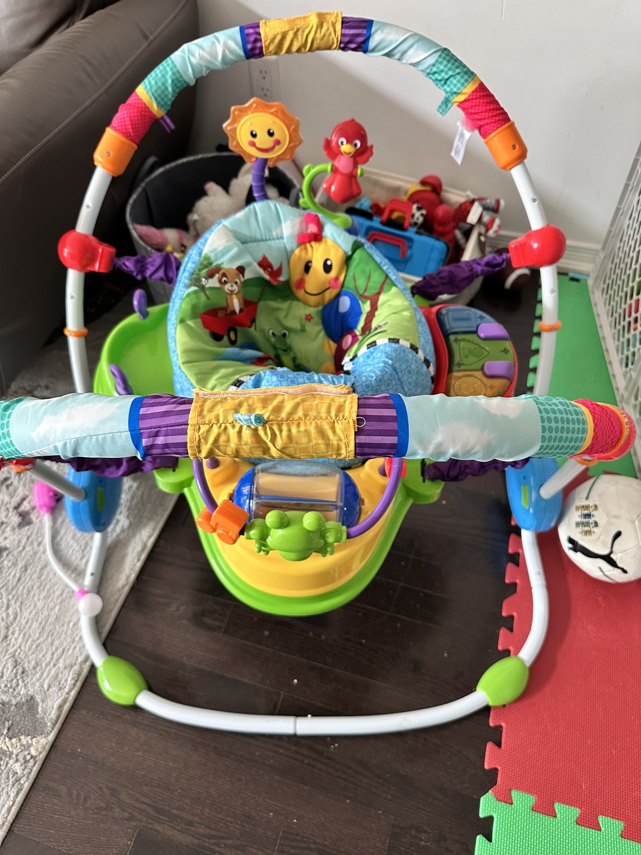 Baby Einstein Activity Jumper