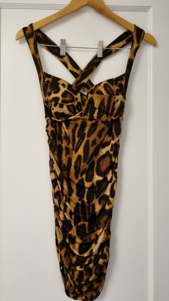Leopard Print Dress