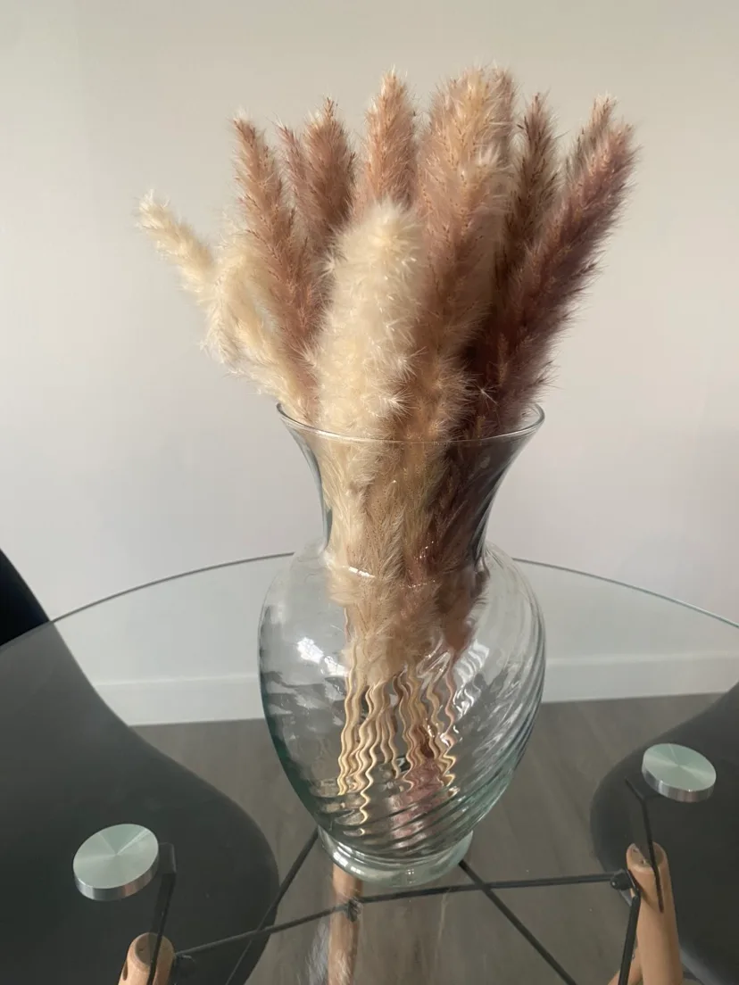 Pampas +vase