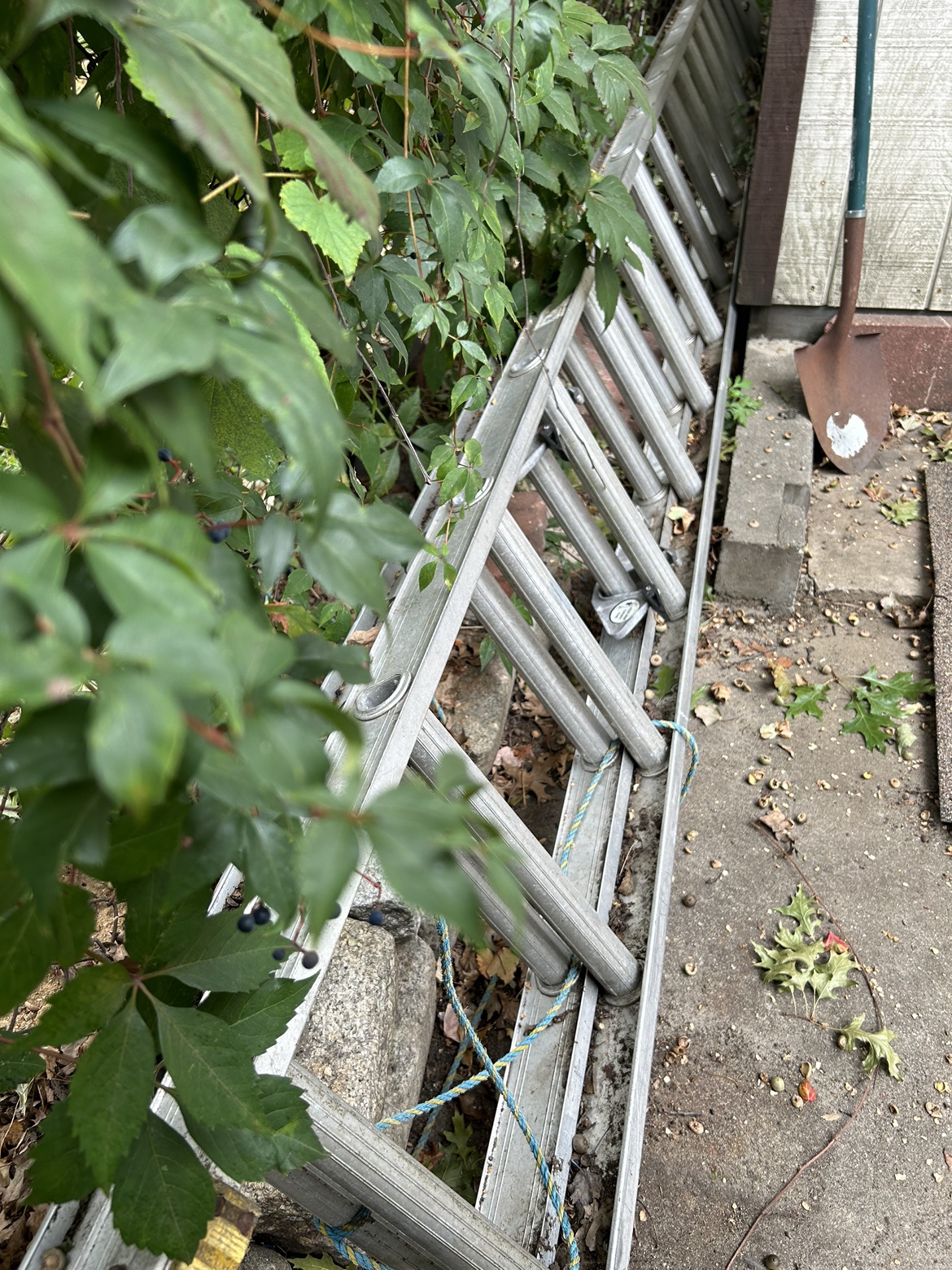38 ft. Aluminum Extension Ladder - photo 2