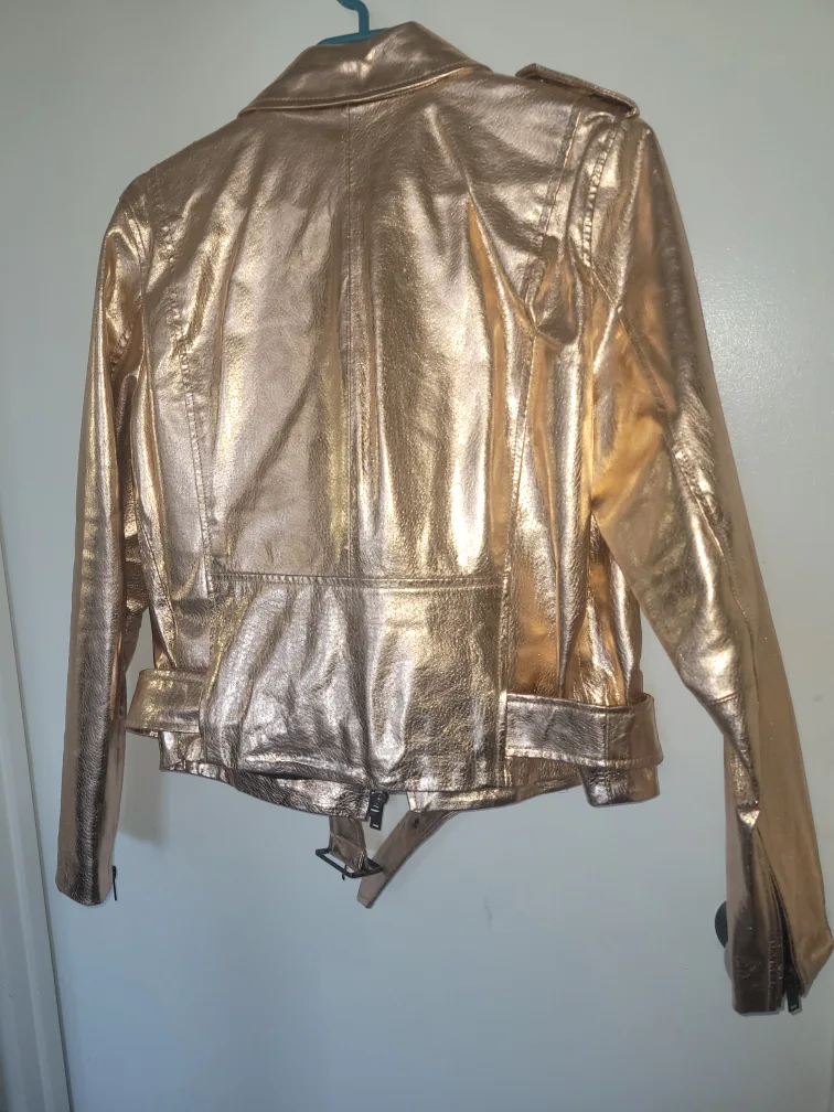 Zara Gold Leather Jacket image indicator(6)