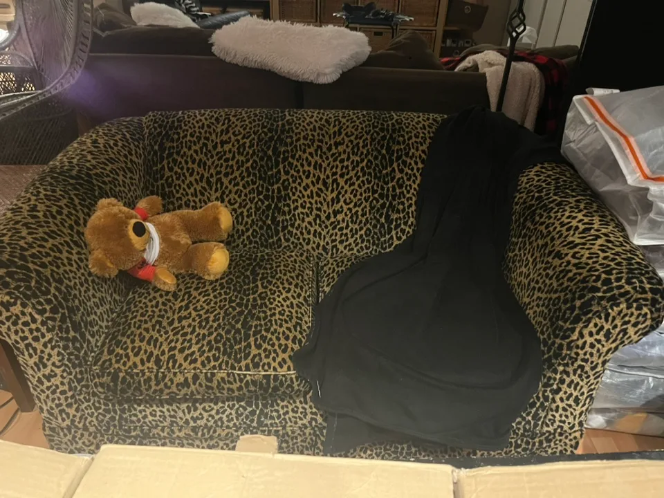 Leopard Print Love Seat image indicator(2)