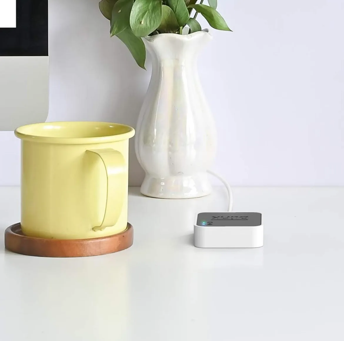 Blink Sync Module 2 image indicator(5)