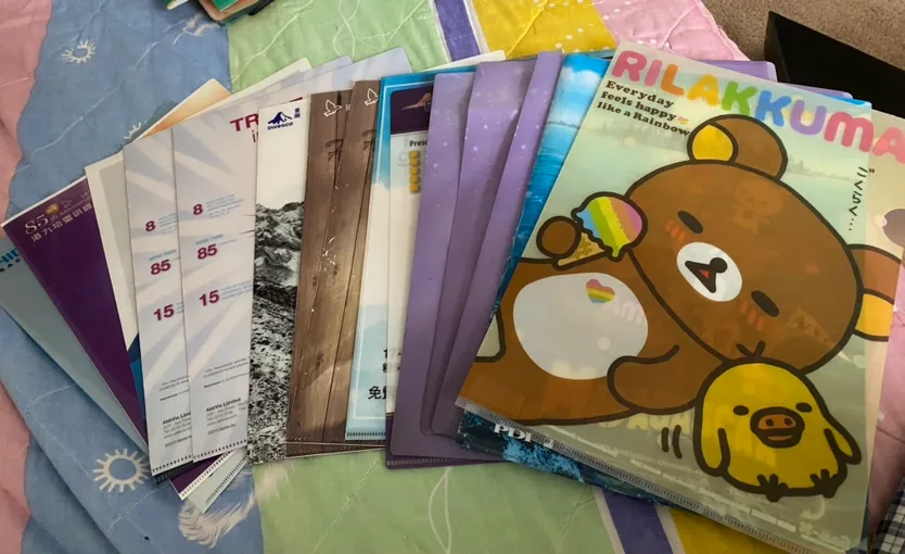 Assorted Clear File Folders thumbnail