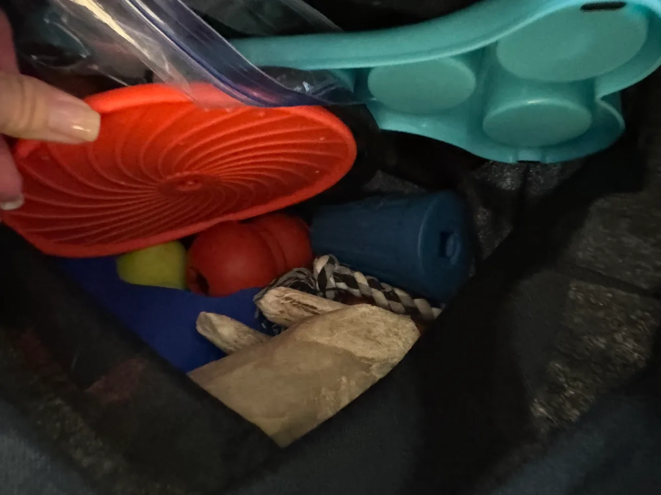 Dog Toys and Accessories thumbnail