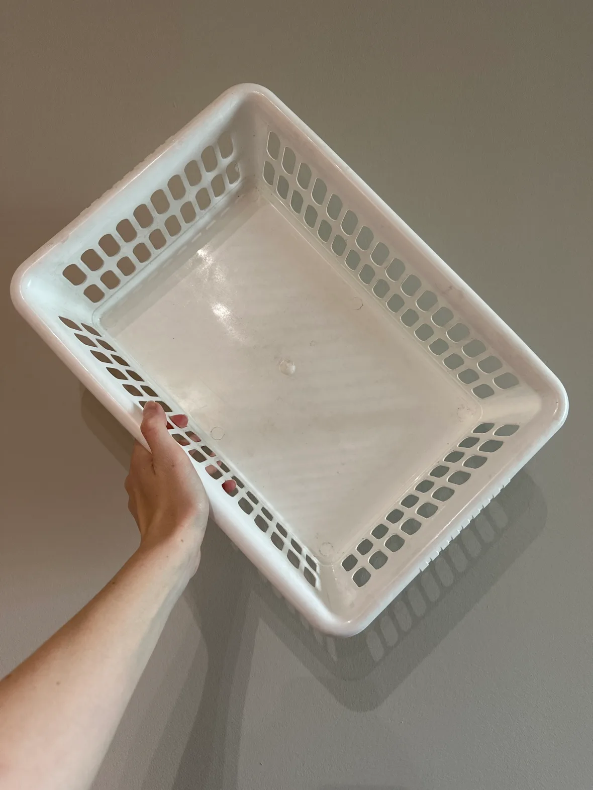 Plastic Storage Basket thumbnail