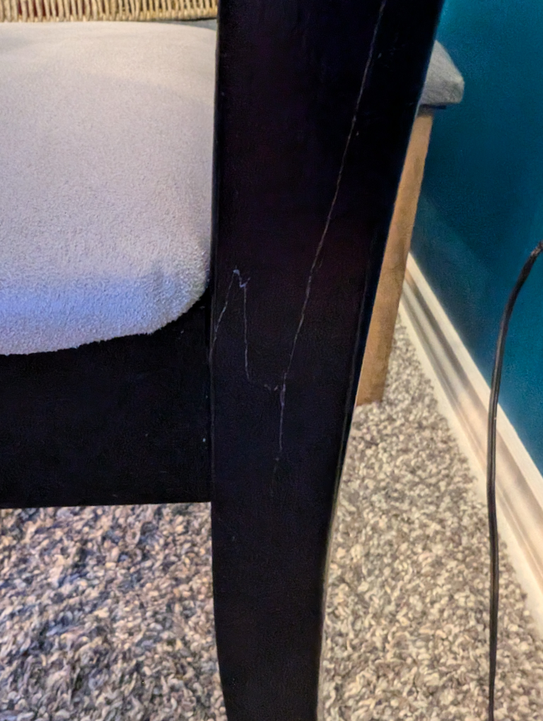 Black Dining Chairs - photo 3