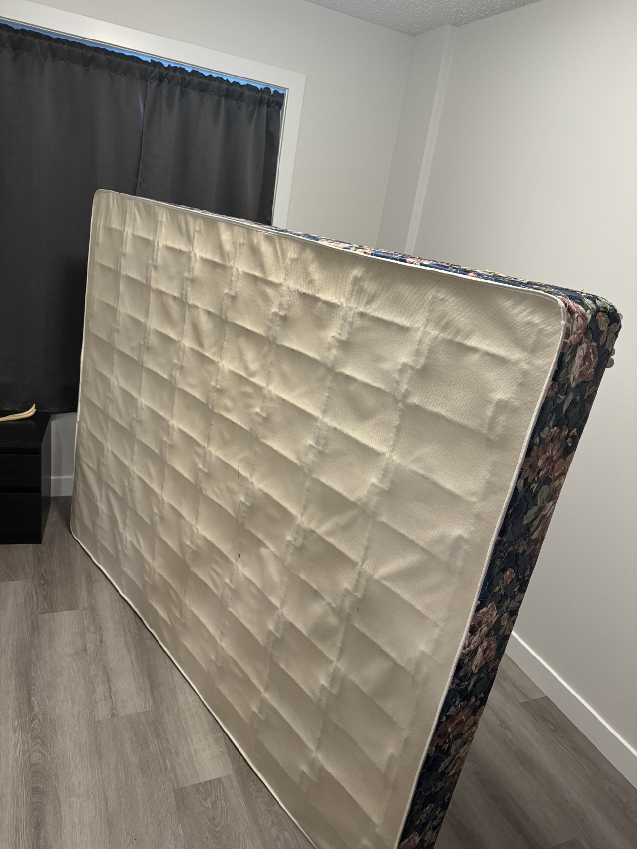 Queen Size Box Spring Pick up only