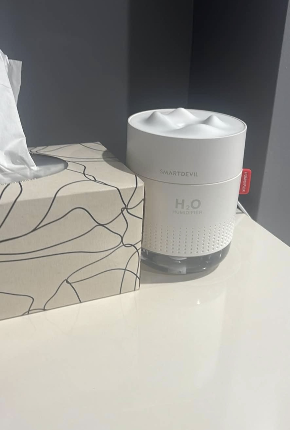 #freecycle SmartDevil Humidifier - photo 2