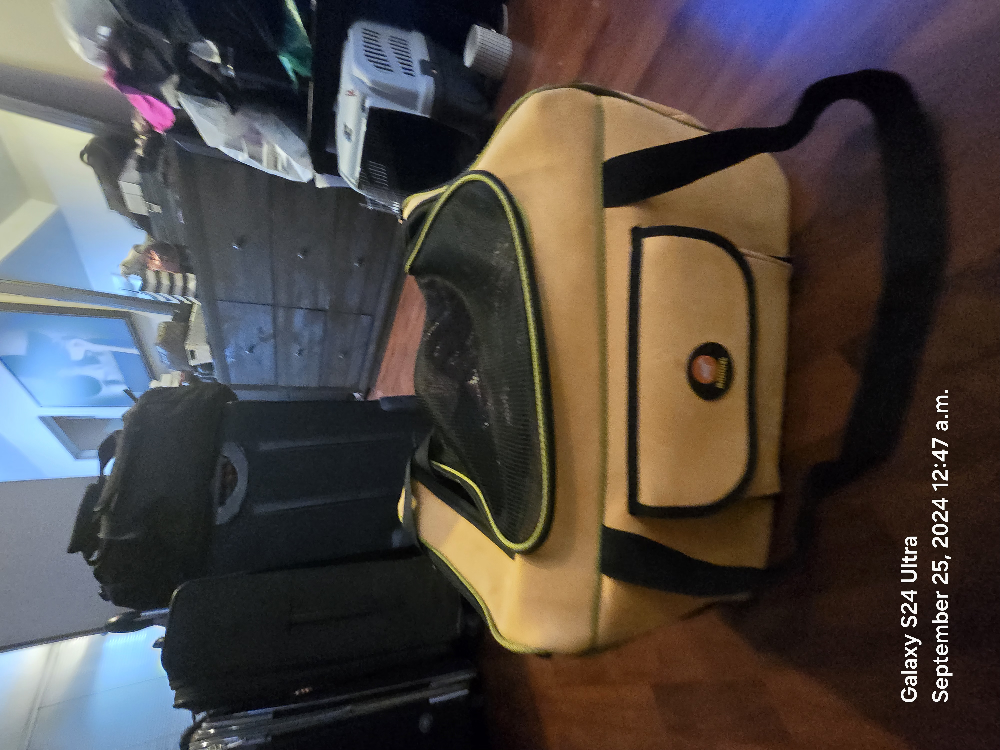 Pet Travel Carrier - photo 4