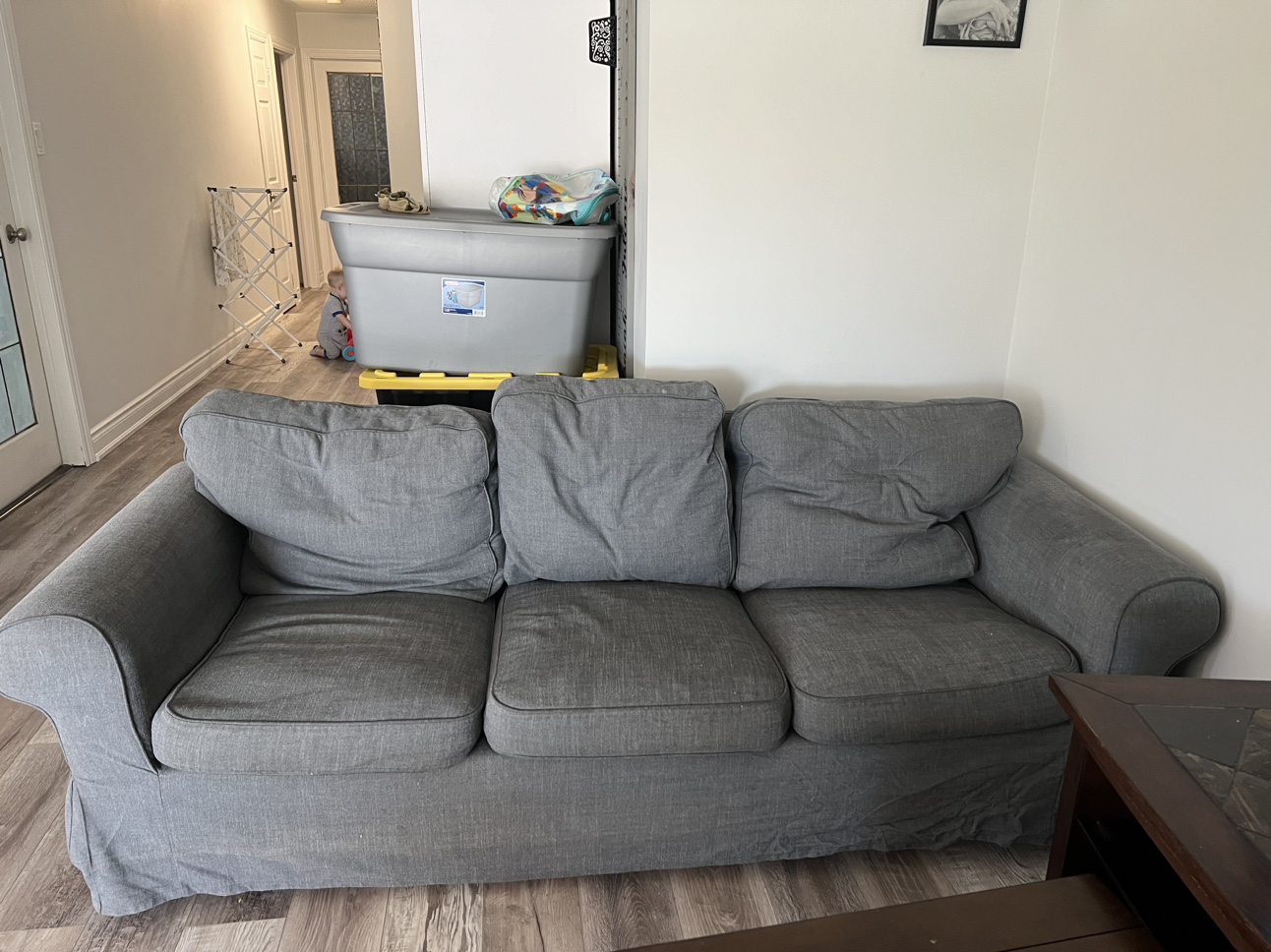 Ikea couches 3 seater and 2 seater