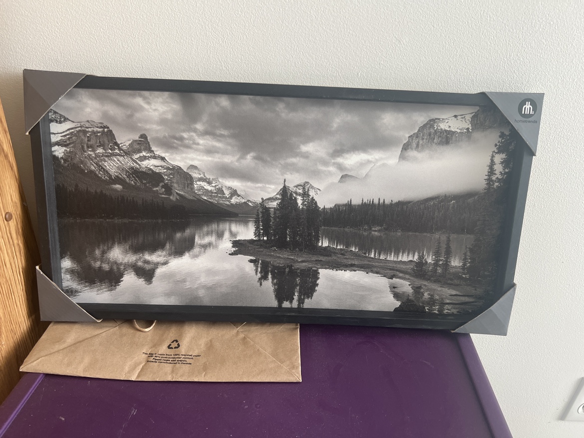 Framed Black and White Jasper Landscape
