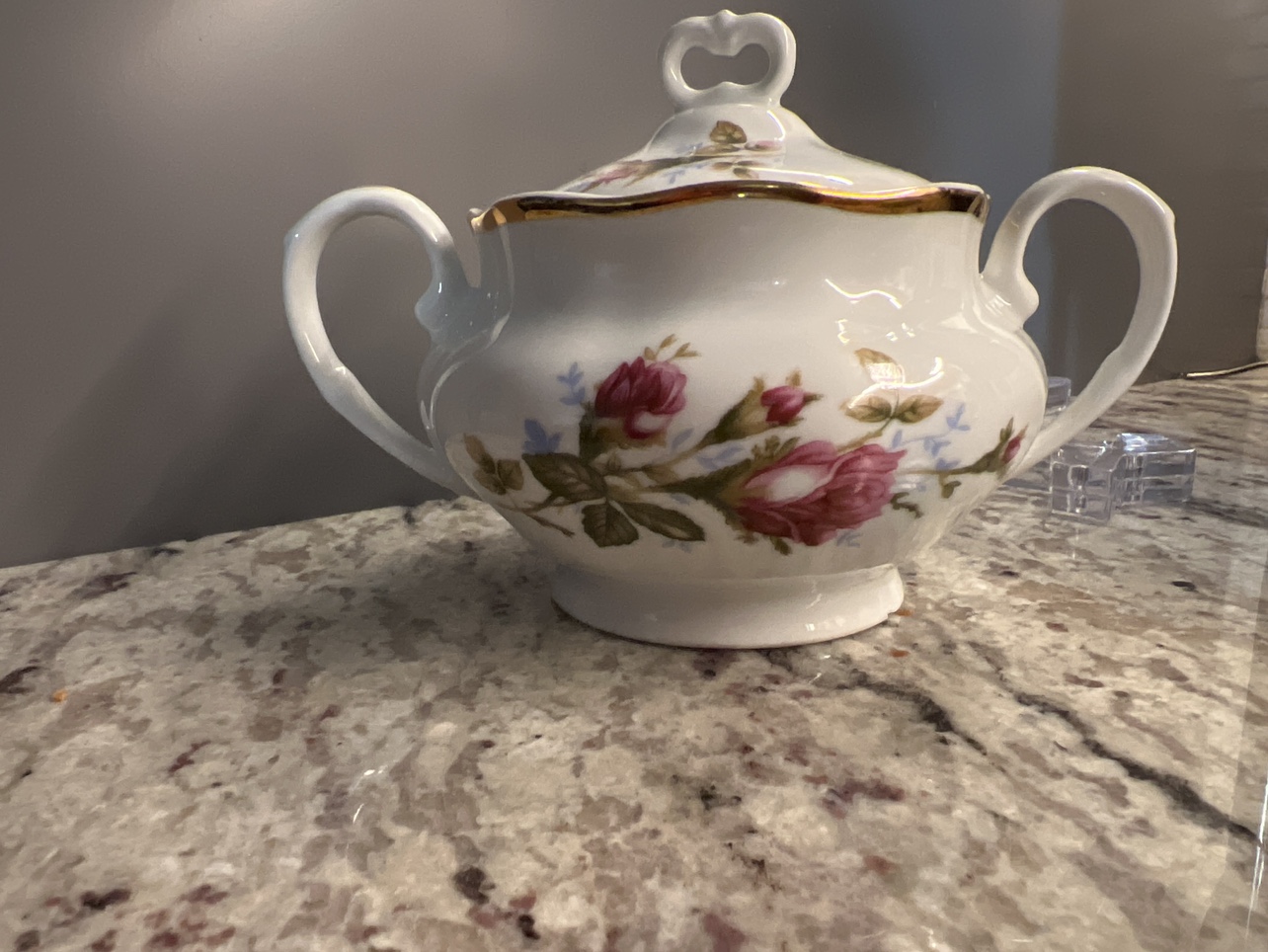 🥕Pink Moss Rose Porcelain Plates - photo 5