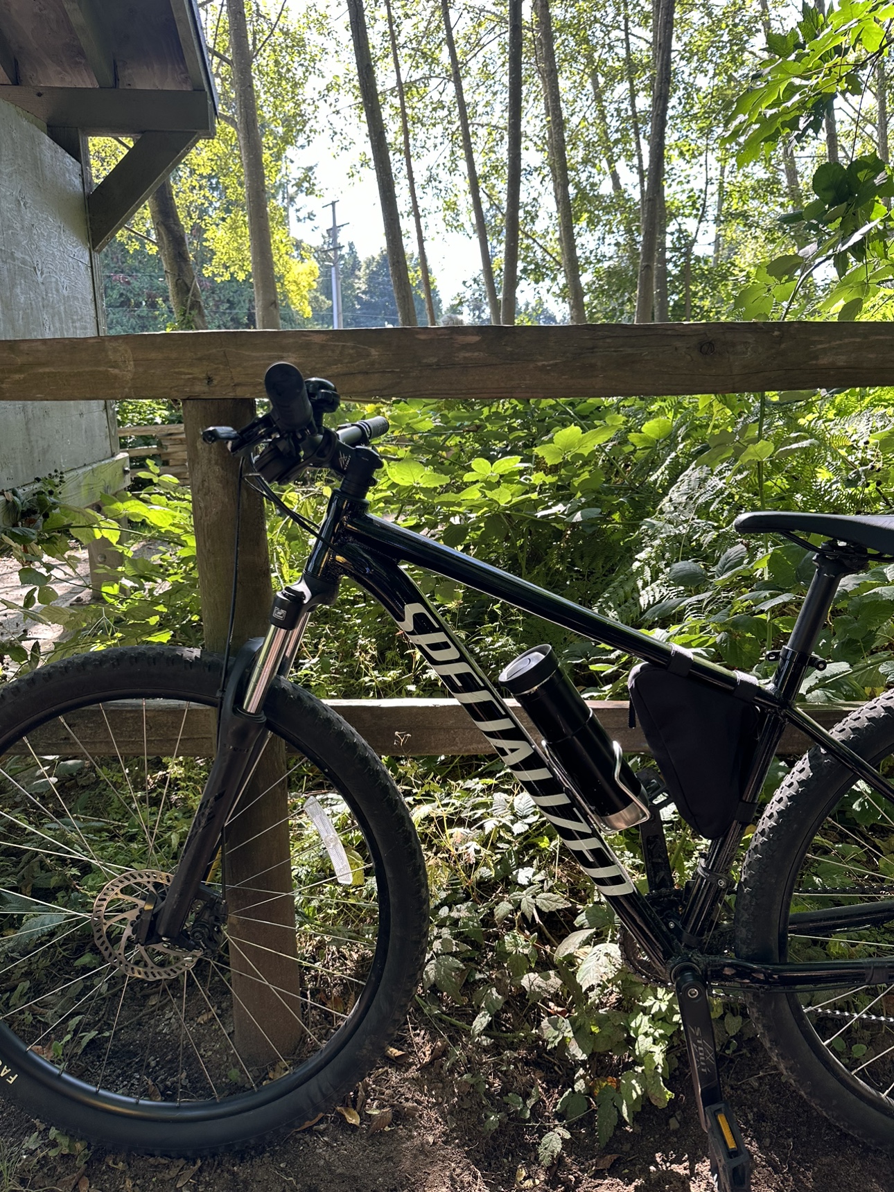 Specialized Rockhopper 29 Large Mountain Bike