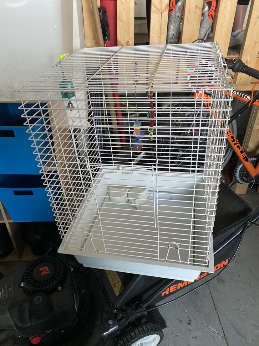 Bird cage