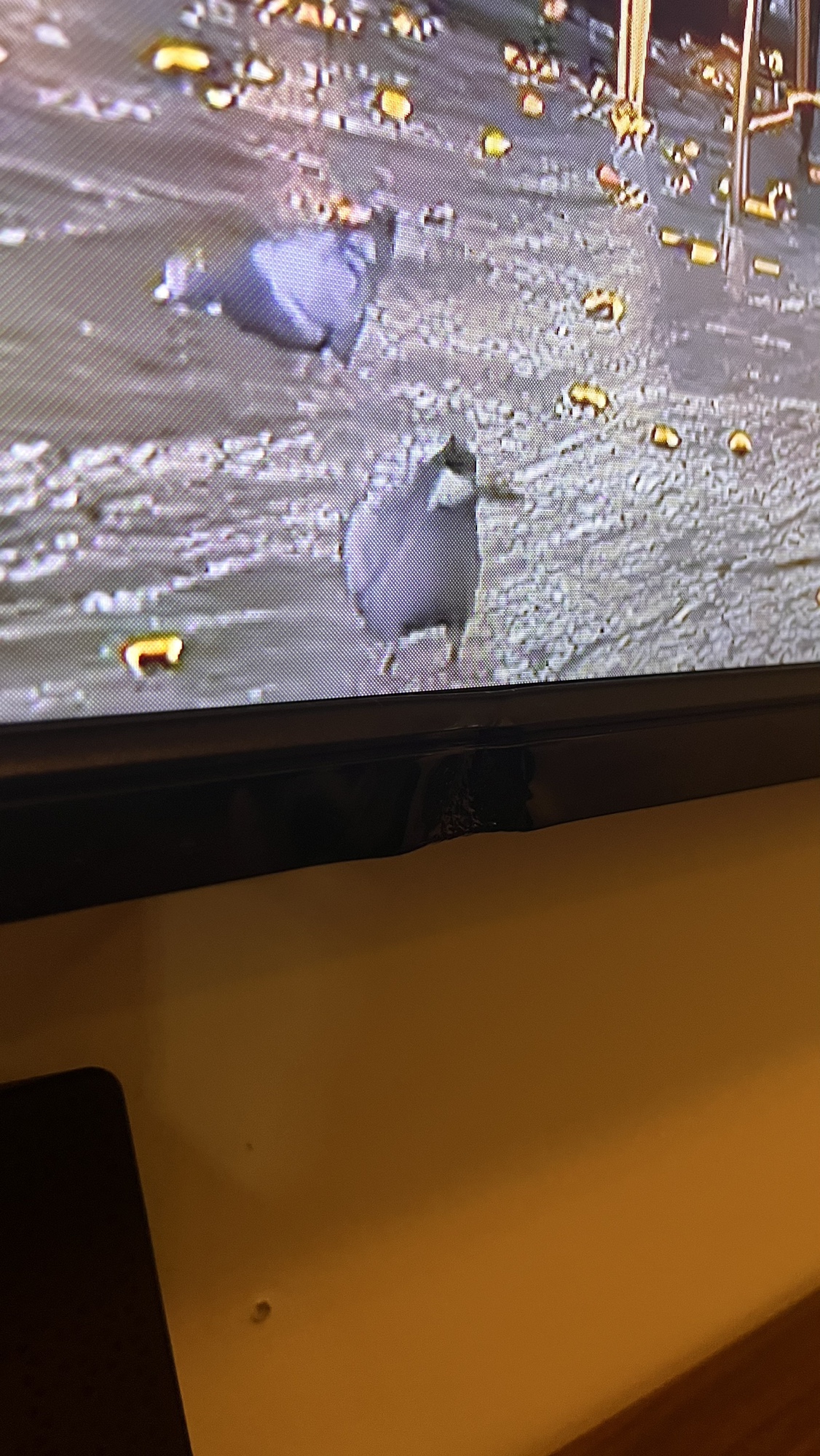 Toshiba 55” TV - photo 2